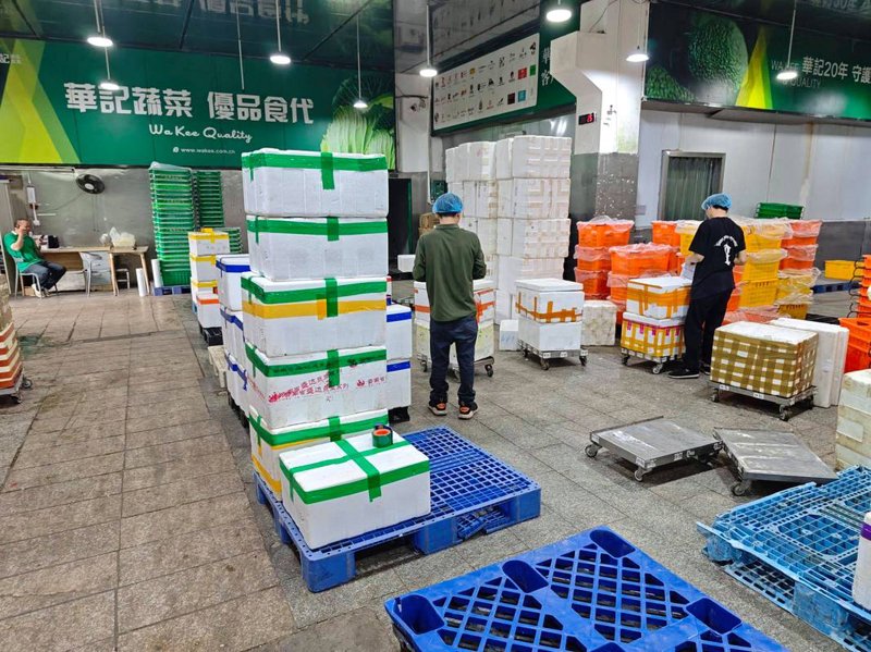 农产品种植